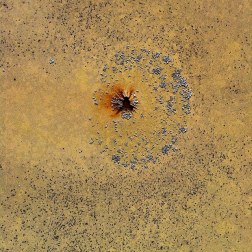 10577067_10203724512627088_8883449080216458998_n