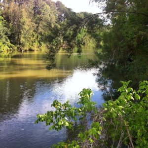 10606444_10204624225719353_6666672541814249448_n