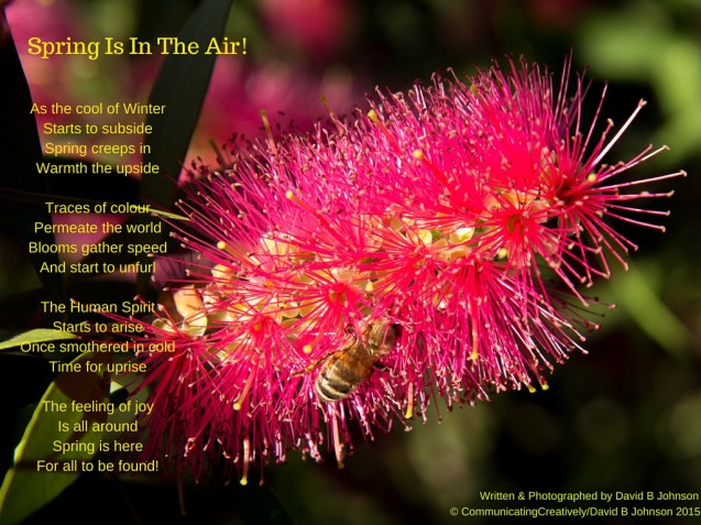 Spring Is In The Air!