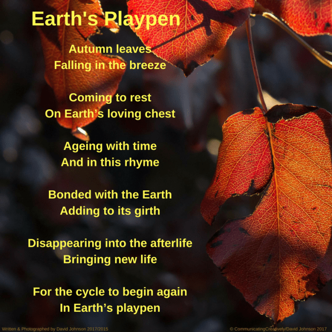 Earth's Playpen