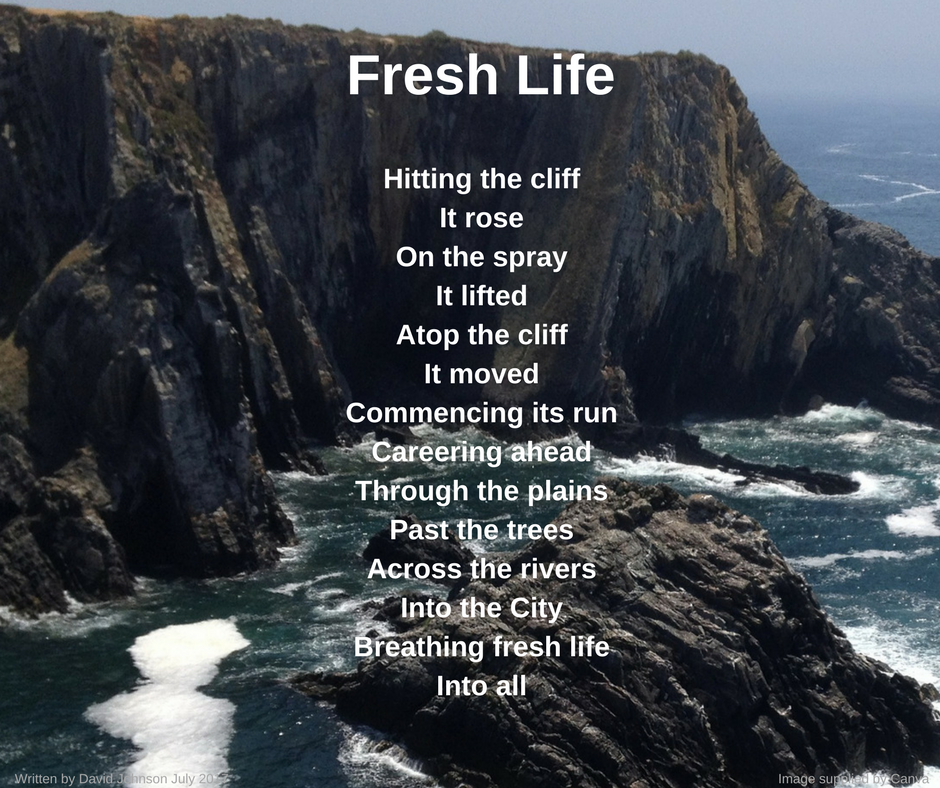Fresh Life-2