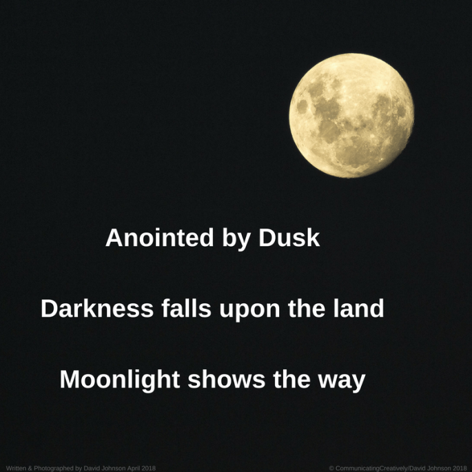 Moonlight shows the way