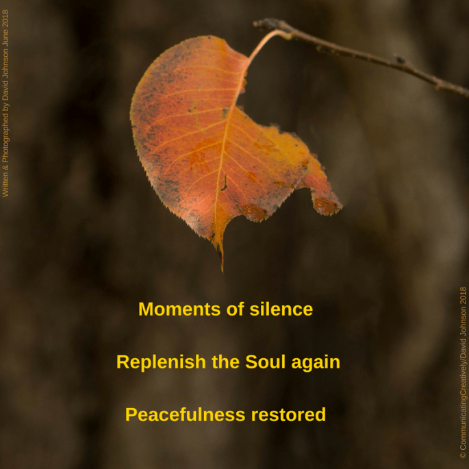 Moments of silence 1