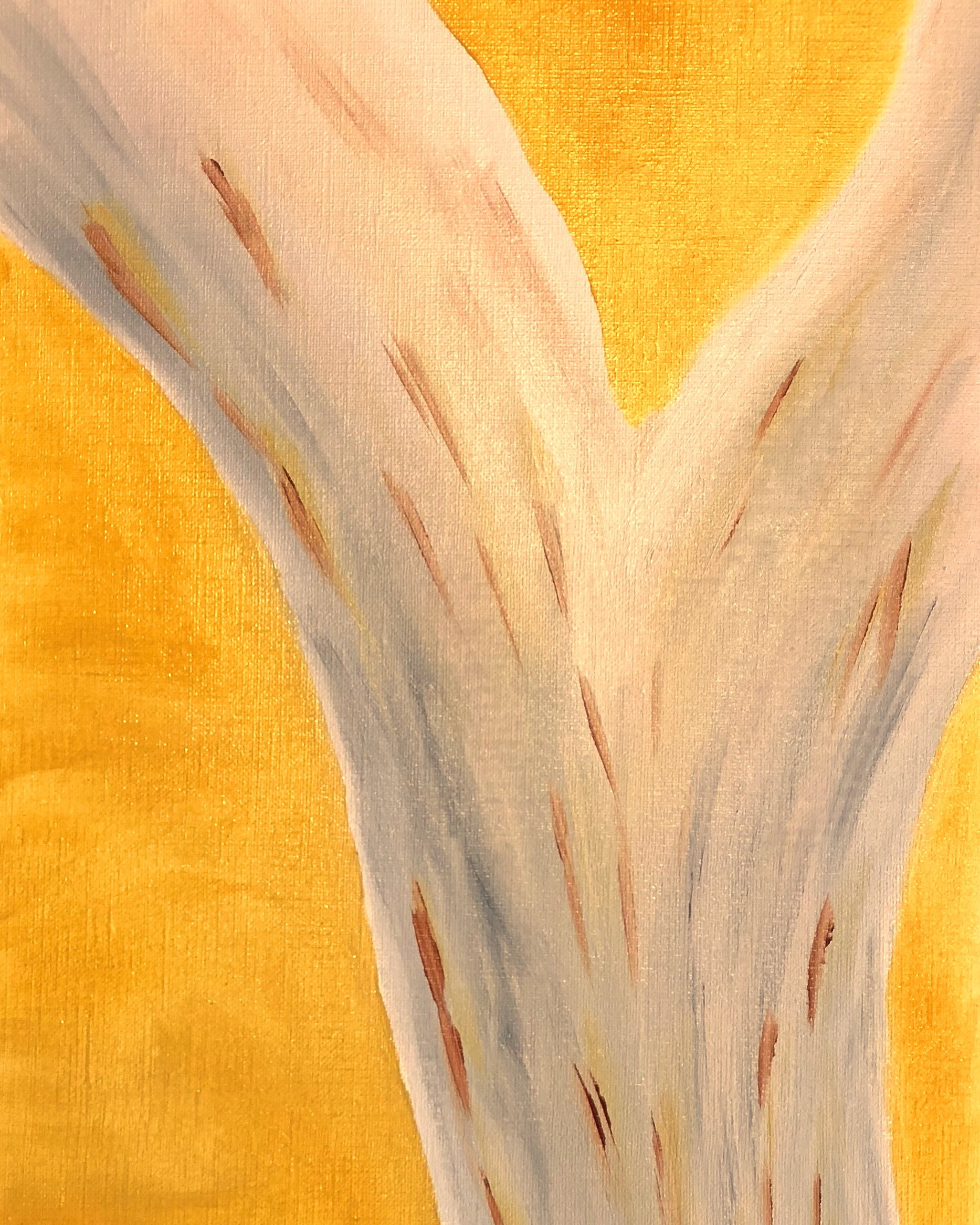 28657560158_e8e697f45f_o