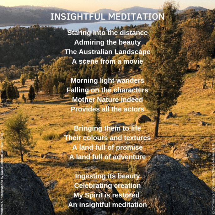 Insightful Meditation