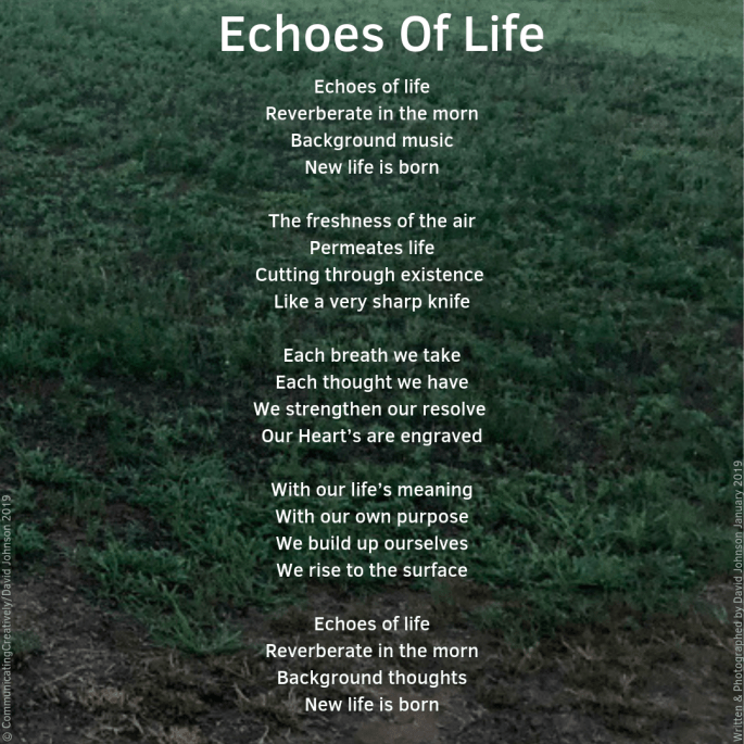 Echoes of Life