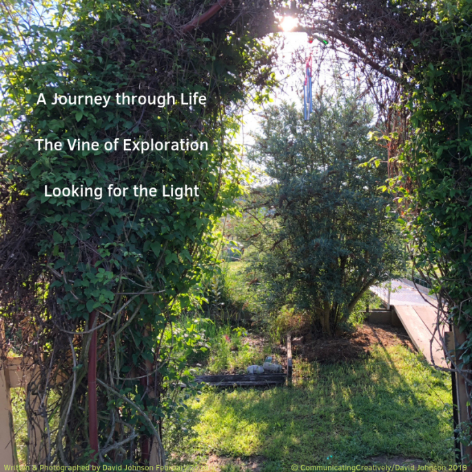 A Journey through Life The Vine of Exploration Looking for the Light