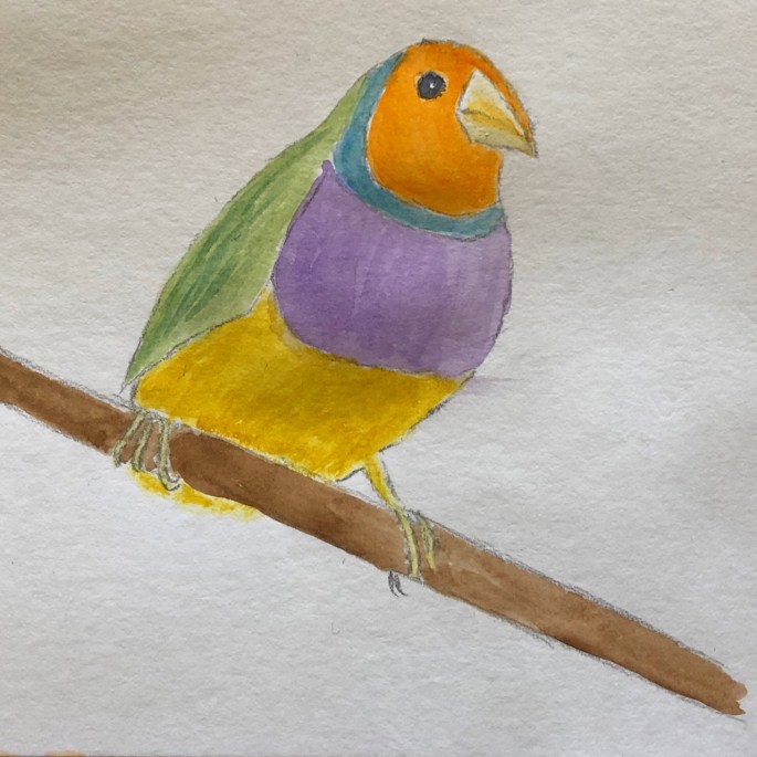 848C3619-EA77-4047-B4B0-8395D54BB002