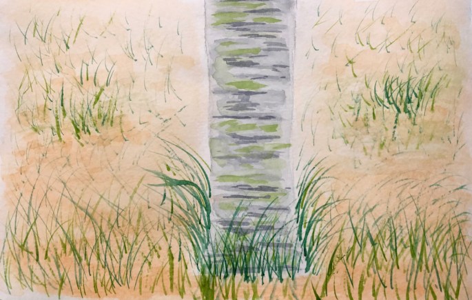 E28A7649-3B29-4948-BE7D-C14226D58649