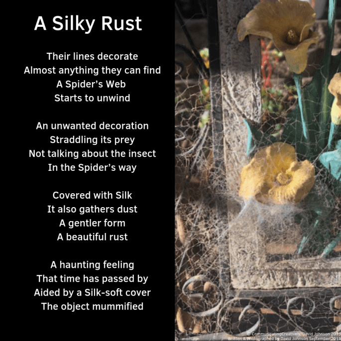 A Silky Rust (1)