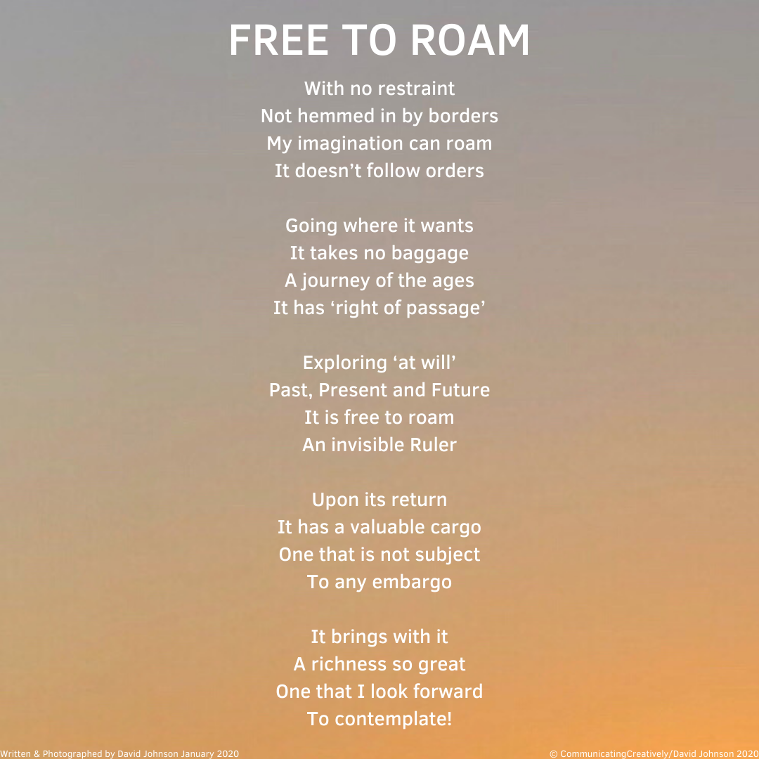 Free To Roam1