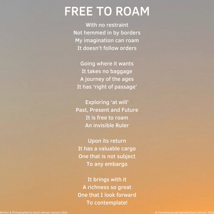 Free To Roam1