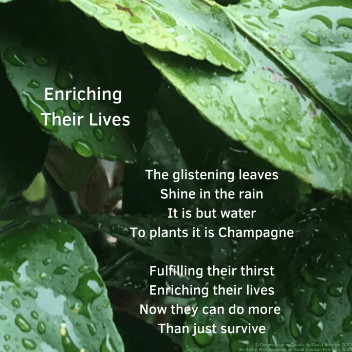 Enriching Their Lives b