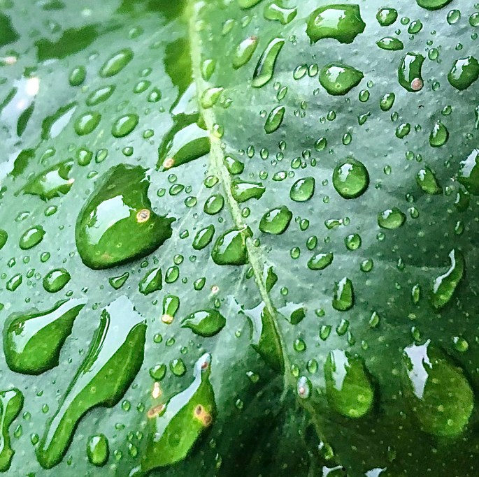 39B6D840-009A-4C5C-ACF1-11F0286FB6D1