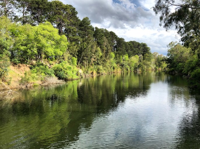 E114A60C-003D-4AC5-8BF7-531286C8225A