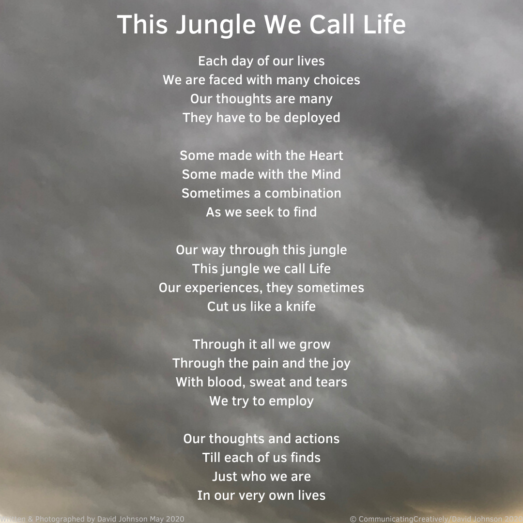 This Jungle We Call Life