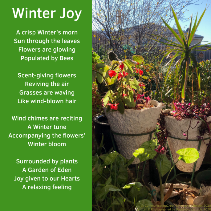 Winter Joy